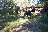PictureA 0164