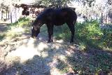 PictureA 0167