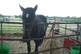 Picture 0572