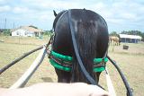 Picture 0573