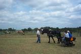 Picture 0574