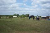 Picture 0577