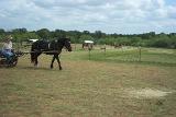 Picture 0580