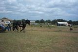 Picture 0581