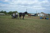 Picture 0582