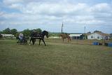 Picture 0583