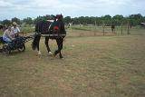 Picture 0584