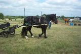 Picture 0593