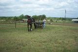 Picture 0594