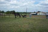 Picture 0595