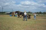 Picture 0596