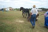 Picture 0598