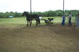 Picture 0600