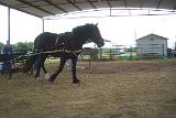 Picture 0602