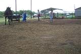 Picture 0603