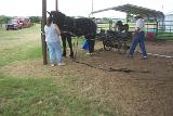 Picture 0604