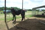 Picture 0606