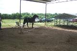 Picture 0608
