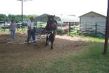 Picture 0609