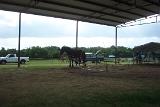 Picture 0616