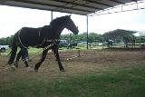 Picture 0617