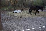 PictureE 0001