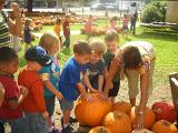 daycare pumpkin patch