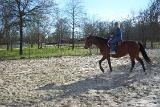 PictureE 0590