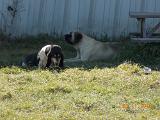 DSCN0342