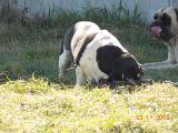 DSCN0343