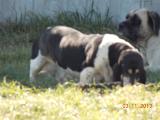 DSCN0345