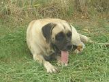 DSCN3524