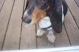 Picture 0002