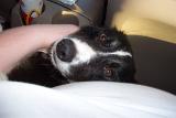 Picture 0008