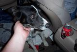 Picture 0010