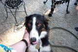Picture 0020