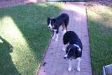 Picture 0023