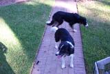 Picture 0024