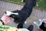 Picture 0025