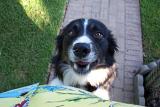 Picture 0026