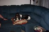 Picture 0032