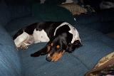Picture 0037