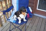 Picture 0047