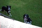 Picture 0048