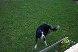 Picture 0049
