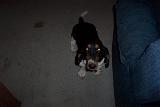 Picture 0050
