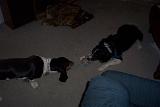Picture 0051