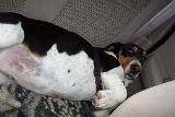 Picture 0051a