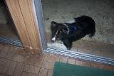 Picture 0063