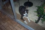 Picture 0064
